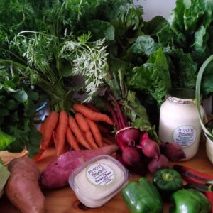 Garden Route organic vegetables